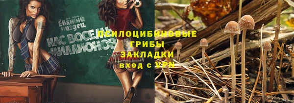 дживик Приозерск