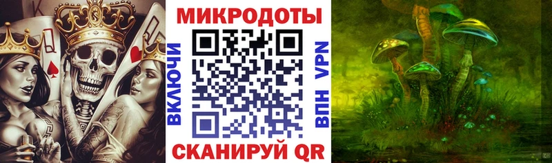 цены Зерноград Галлюциногенные грибы Psilocybe